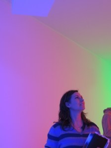 Chromosaturation, Carlos Cruz-Diez