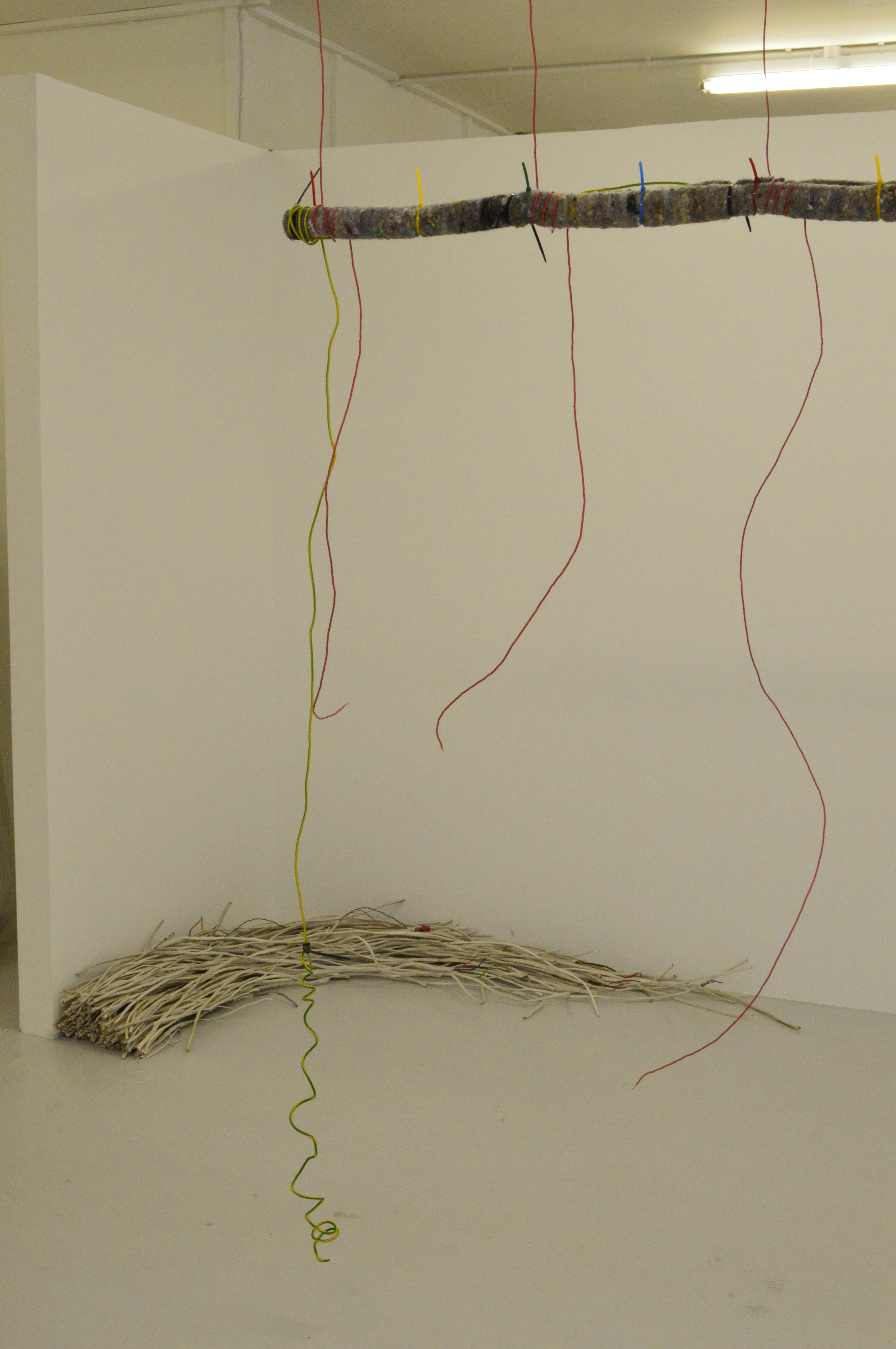 cadi froehlich MA show