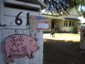 Cadi Froehlich Copper Postcard